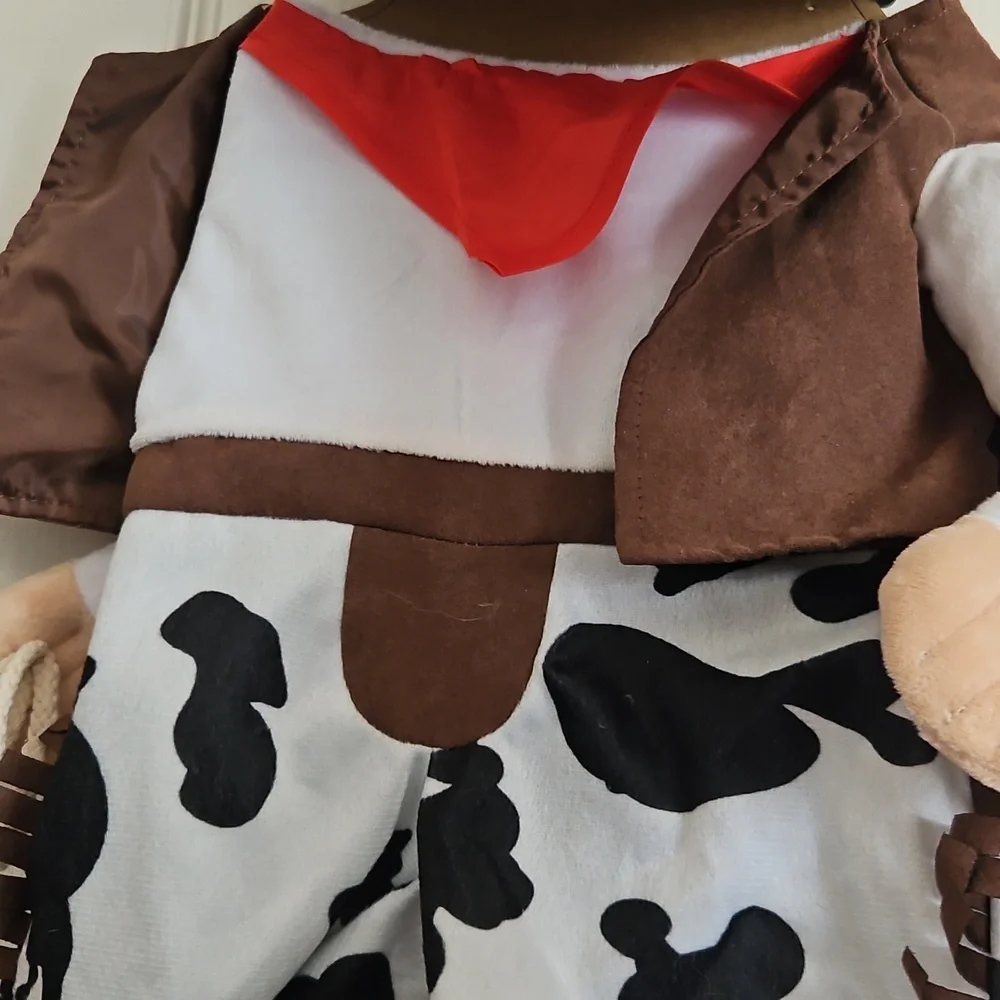 Cowboy Dog Costume with Hat